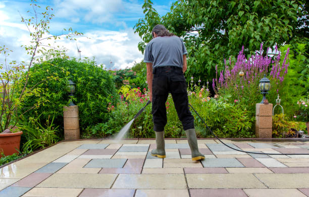 Best Winterizing Services  in Kentwood, MI