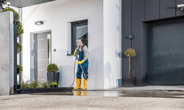 Best Dumpster Area Cleaning  in Kentwood, MI